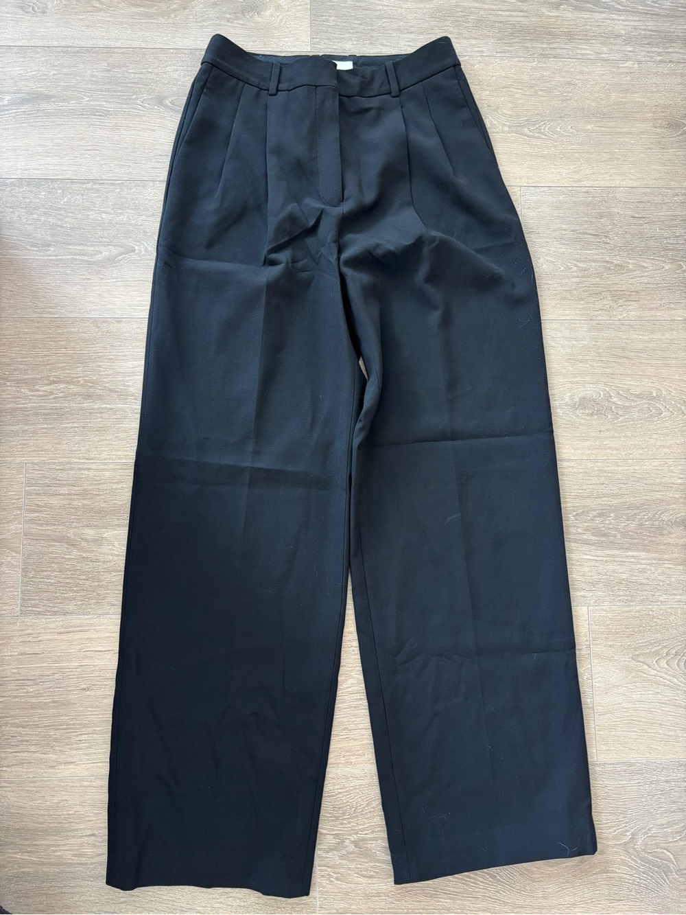 Aritzia Pleated Wide-Leg Pants